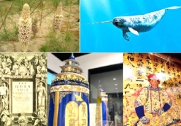 影音使團特備節目：步行探秘「不由你不信」福音體驗館