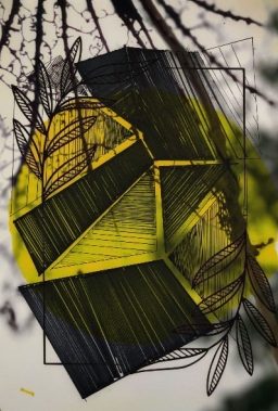 【當代藝粹】楊青：不可估量的光