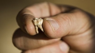 Archaeologists Claim to Have Found Oldest Human Remains in Israel