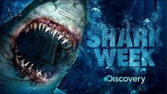 Watch Shark Week 2013 Live: Is Megalodon Still Alive? (Video)