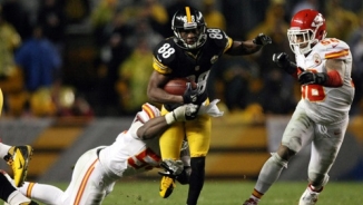 Watch Pittsburgh Steelers vs. Carolina Panthers 2013 NFL Preseason Live Stream Online: Week 4 TV Schedules