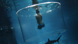 Nick Vujicic Swims with Sharks in Singapore