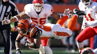 Cincinnati Bengals vs. Buffalo Bill Live Streaming Free: Watch NFL 2013 Week 6 Online, TV Schedule, Radio Station