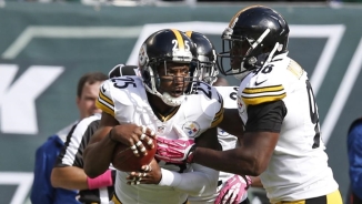 Miami Dolphins vs Pittsburgh Steelers Live Stream: Watch Online Free 2013 NFL Week 14, TV Channels, Radio Stations