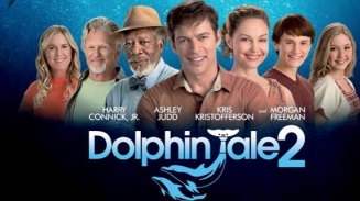 'Dolphin Tale 2' Tells Inspiring Story Of Perseverance, Cameos 'Soul Surfer's Bethany Hamilton