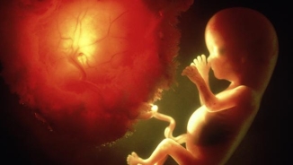 Abortion Clinic Where 50,000 Babies Were Killed Will Be Turned Into Pro-Life Memorial