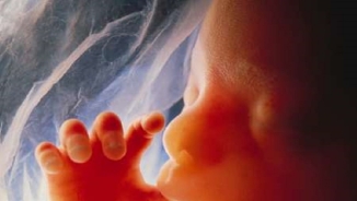 CDC: Abortion Rates Lowest in 2014 for First Time Since Roe vs. Wade