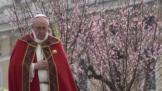 Pope Francis Honors 'Today's Martyrs,' Remembers Victims of Germanwings Crash in Palm Sunday Message