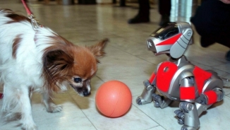 Robotic Dogs, Cats Soon to Replace Live Pets? Expert Says Ethical Issues Must Be Addressed