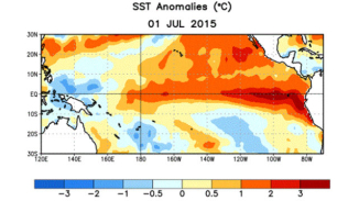 Historic El Niño To Bring Wet Winter in Drought-Stricken California