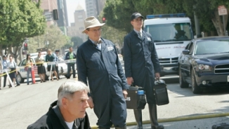 NCIS Season 13 Release Date, Cast, Spoilers: Major Shift In Upcoming Episodes