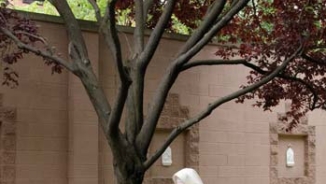 Pink Sisters Observe Nearly 120 Years Of Nonstop Prayers, Blessed Sacrament