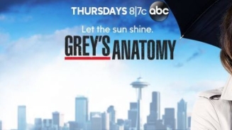 Grey's Anatomy Season 12 Mid-Season Premiere Date and Sneak Peek: What Happens to Meredith