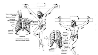 Crucifixion Death Like Jesus Experienced is 'Medical Catastrophe,' Says Physician