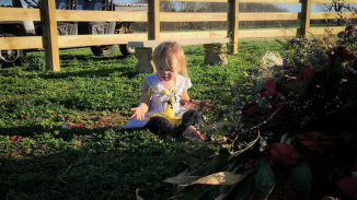 Rory Feek Shares 'Sad and Wonderful' Way His 2 Y/O Daughter is Coping With Death of Wife Joey Feek 