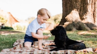 Happy 3rd Birthday, Prince George! See The Adorable Photos Released By The Royal Family 