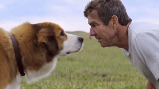 Cue the Waterworks! 'A Dog's Purpose' Hits Theaters January 27- Watch the Trailer Here 