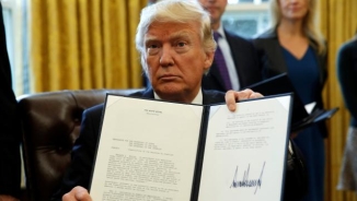 The Executive Order: A Brief Constitutional Litmus Test 