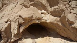 3,000-Year-Old Donkey Dung Provides Evidence for Existence of King Solomon’s Mines