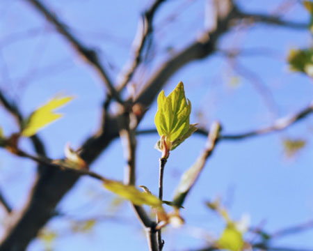 每日經歷神：不要像其他人一樣憂傷